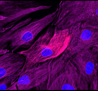 Research Hero Image 1