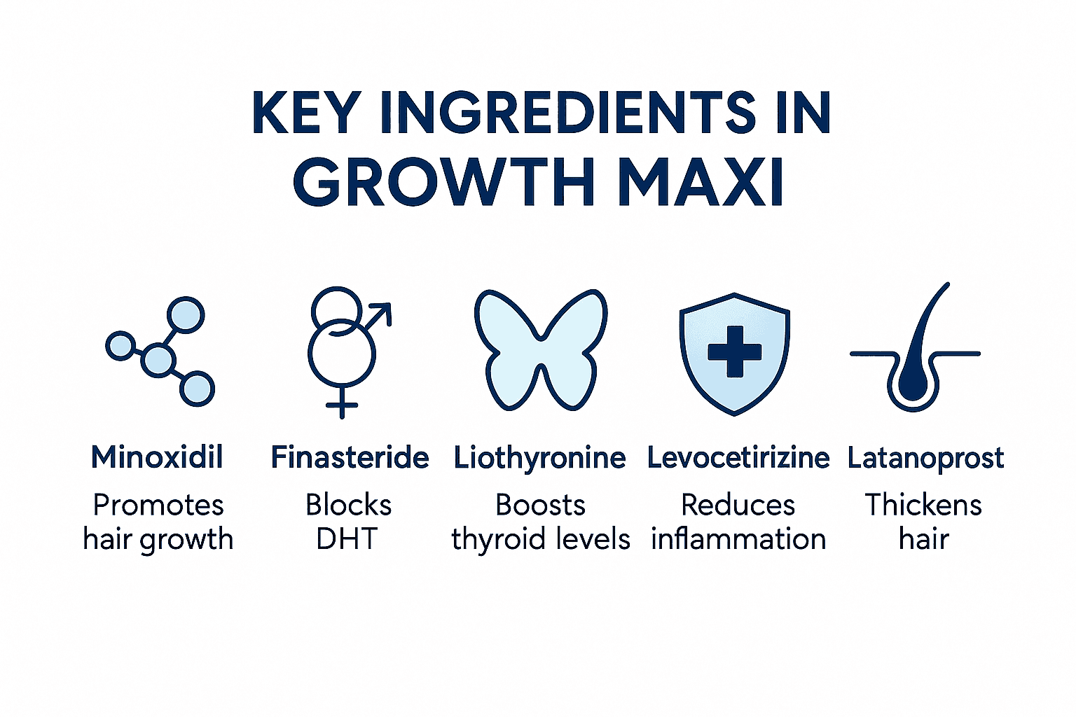 Infographic showing Growth Maxi’s five active ingredients — Minoxidil, Finasteride, Liothyronine, Levocetirizine, and Latanoprost — each with its unique role in boosting hair regrowth.\n
