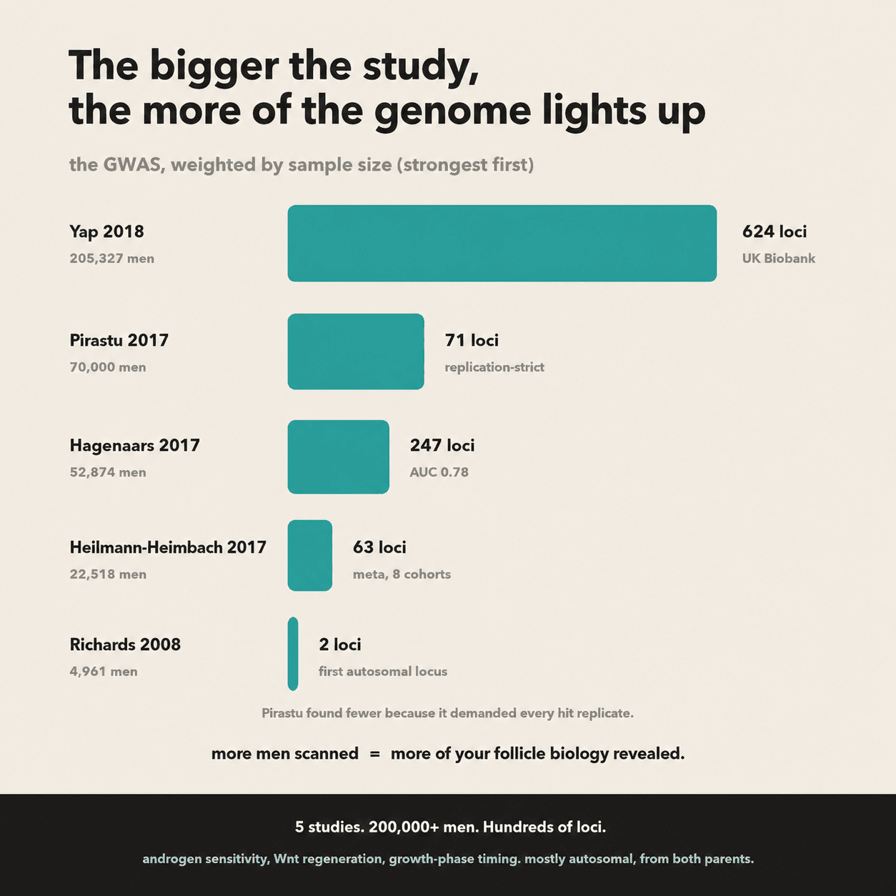 The five major male pattern baldness GWAS ranked by sample size, showing how the larger studies found more genetic loci