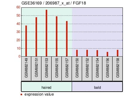 Chart of FGF18 transcription in bald scalp samples compared with occipital scalp